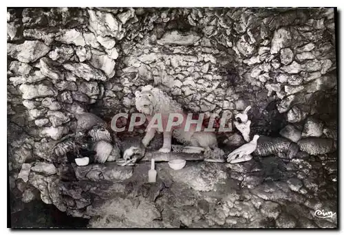 Ansichtskarte AK Grande Fontaine Petrifiante des Grottes du Perou de St Alyre a Clermont Ferrand P de D Lion petr