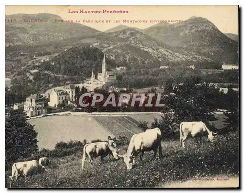 Cartes postales Les Hautes Pyrenees Lourdes Vue sur la Basilique et les Montagnes environnantes Vaches