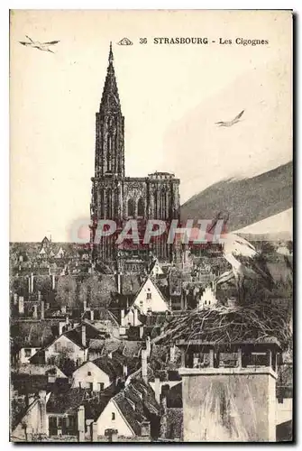 Cartes postales Strasbourg les Cigognes