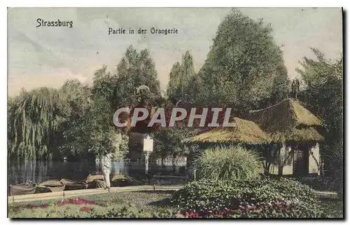 Cartes postales Strassburg partie in der Orangerie