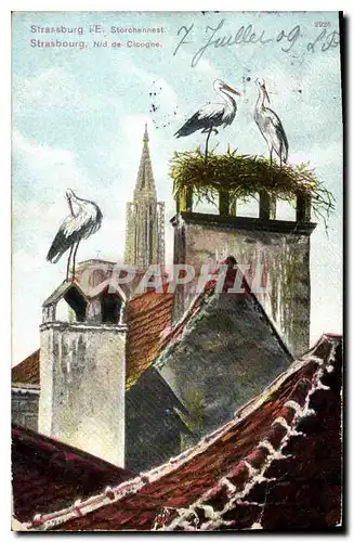 Cartes postales Strasbourg Nid de Cigogne