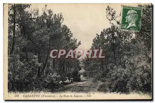 Cartes postales Carantec Finistere le Bois de Sapins