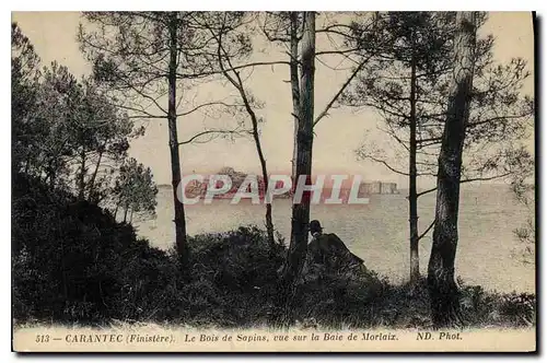 Cartes postales Carantec Finistere le Bois de Sapins vue sur la Baie de Morlaix