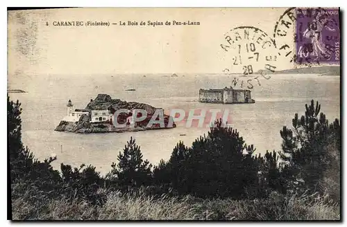 Cartes postales Carantec Finistere le Bois de Sapins de Pen a Lann