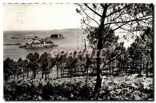 Ansichtskarte AK Carantec Finistere l'Ile Louet et le chateau du Taureau