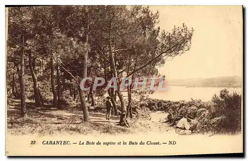 Cartes postales Carantec le Bois de Sapins et le Baie du Couet