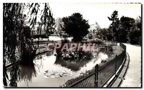 Cartes postales Rochefort sur Mer les Promenades cours Roy Bry