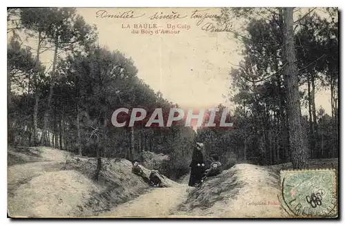 Cartes postales La Baule Un Coin du Bois d'Amour