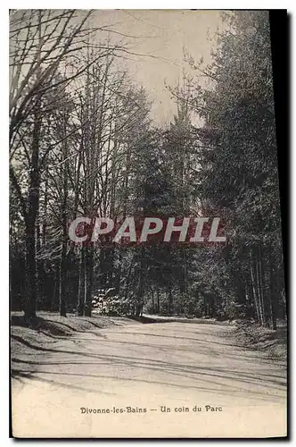 Cartes postales Divonne les Bains un coin du parc
