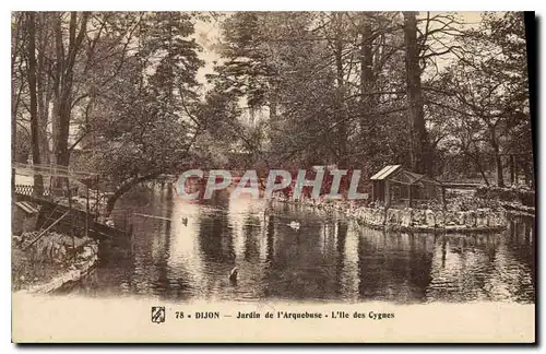 Ansichtskarte AK Dijon Jardin de l'Arquebuse L'Ile des Cygnes