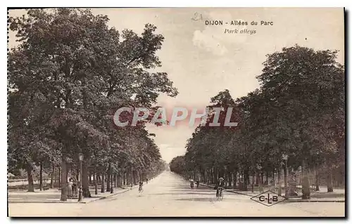 Ansichtskarte AK Dijon Allees du Parc