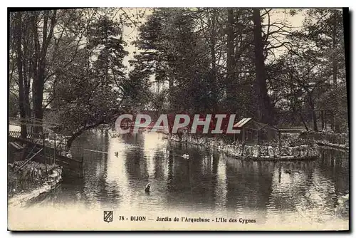 Ansichtskarte AK Dijon Jardin de l'Arquebuse l'Ile des Cygnes