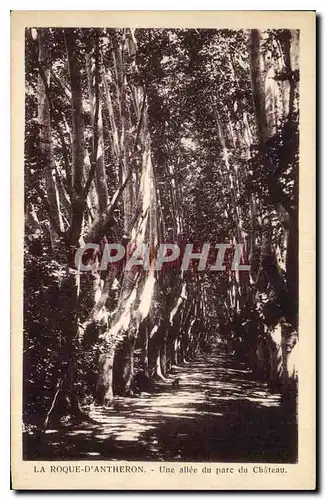 Cartes postales La Roque D'Antheron Une Allee du parc du Chateau