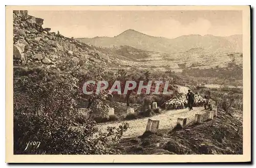 Cartes postales Sur la Route de Saint Remy aux Baux