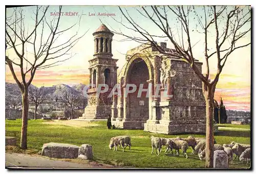 Cartes postales Saint Remy Les Antiques Moutons