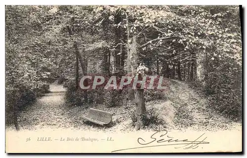 Cartes postales Lille Le Bois de Boulogne