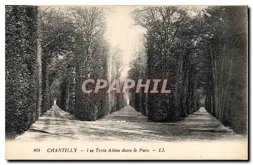 Ansichtskarte AK Chantilly Les Trois Allees dans le Parc