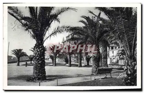 Cartes postales Cote d'Emeraude Dinard Les Palmiers et la Promenaude Clair de Lune