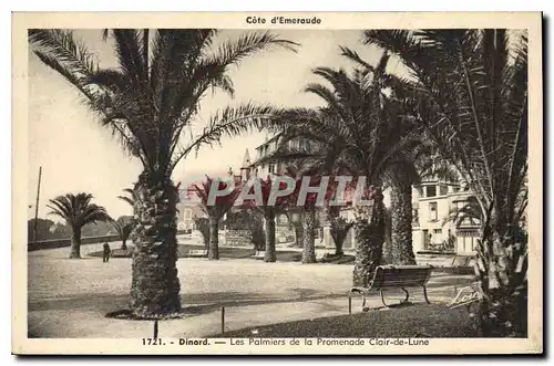 Ansichtskarte AK Dinard Les Palmiers de la Promenade Clair de Lune