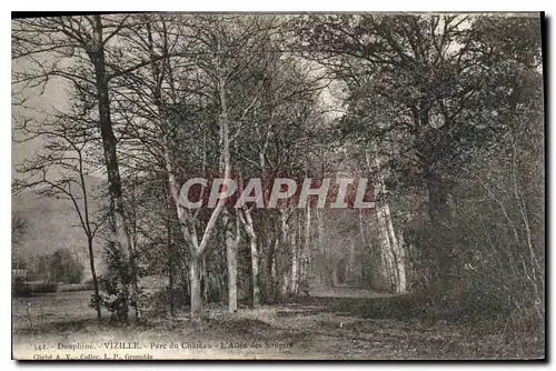 Ansichtskarte AK Dauphine Vizille parc du chateau l'Allee des soupin