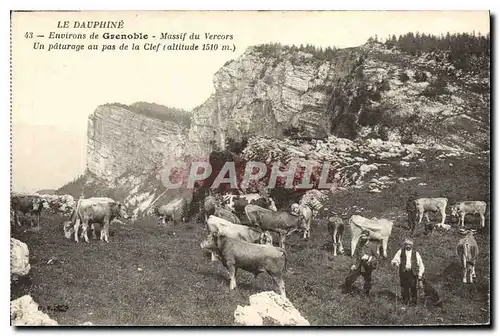 Ansichtskarte AK Le Dauphine environs de Grenoble Massif du Vercors un Paturage au pas de la Clef Vaches