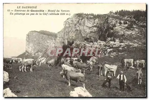 Cartes postales Le Dauphine environs de Grenoble Massif du Vercors un Paturage au pas de la Clef Vaches