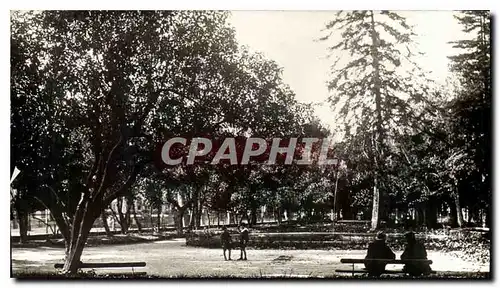 Cartes postales Draguignan Var le jardin Anglais