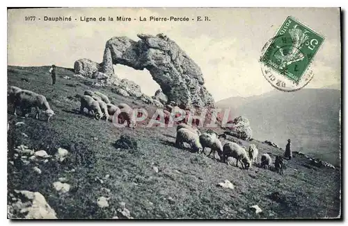 Ansichtskarte AK Dauphine Ligne de la Mure la Pierre Percee Berger Moutons