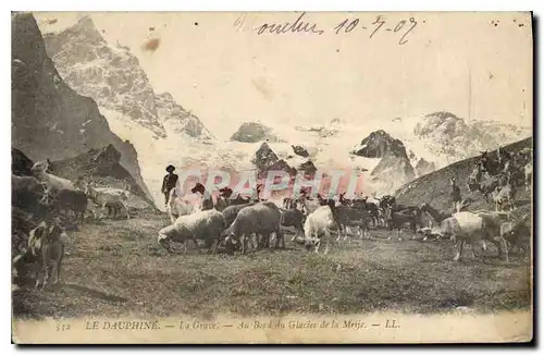 Cartes postales Le Dauphine la Grave au Bord du Glacier de la Meije Chevres Chevre Moutons