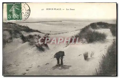 Cartes postales Berck Plage les Dunes