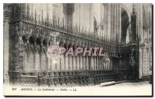 Cartes postales Amiens la cathedrale Stalles