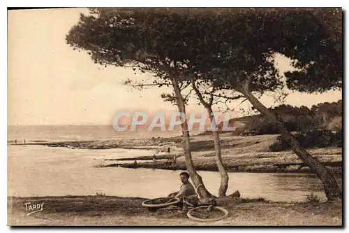 Cartes postales Littoral de Marseille Calanque des Baumettes (entree carry et Saussel) Sites de Provence velo Cy