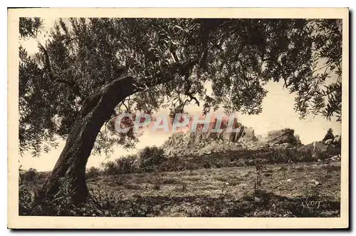 Ansichtskarte AK Paysages et Pierres de Provence Les Baux (B du R) Les Ruines du Chateau vues a travers les olivi