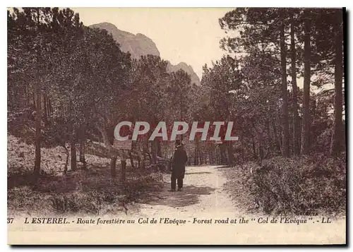 Cartes postales Esterel Route forestiere au Col de l'Eveque