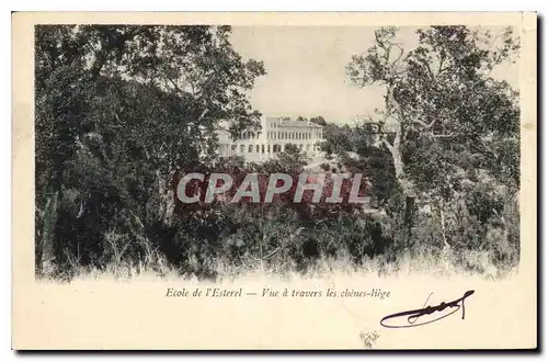 Cartes postales Ecole de l'Esterel Vue a travers les chenes liege