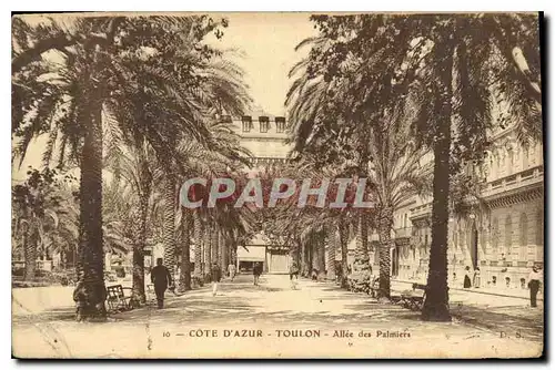 Cartes postales Toulon Allee des Palmiers