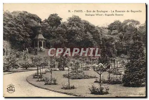 Cartes postales Paris Bois de Boulogne La Roseraie de Bagatelle