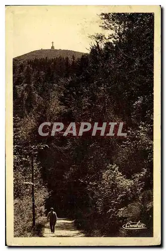 Cartes postales Mont Pilat (Loire) Promenade sous bois et Croix de l'Oeillon