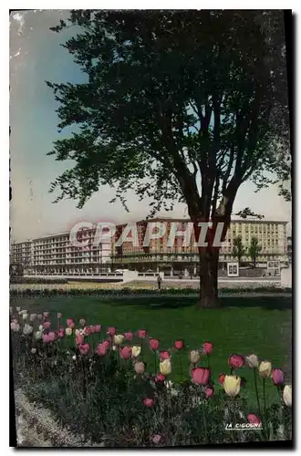 Cartes postales Le Havre (Seine Interieure) Le Jardin de l'Hotel de Ville