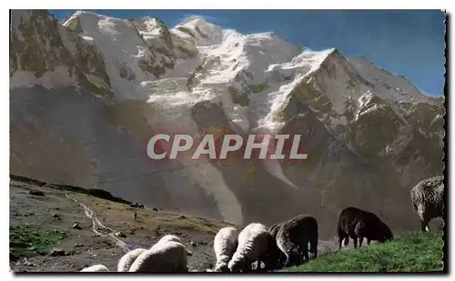 Ansichtskarte AK Chamonix (Hte Savoie) La Chaine du Mont Blanc vue du Planpraz