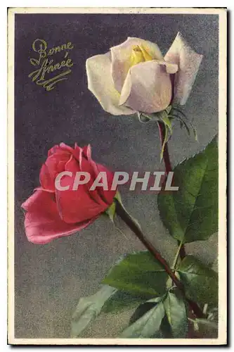 Cartes postales Bonne annee Fleurs