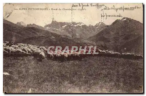 Cartes postales Les Alpes Pittoresques Bres du Chambeyron Berger Moutons