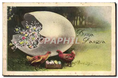 Cartes postales Buona Pasqua Poules �ufs