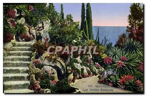 Cartes postales Monaco Les Jardins Exotique