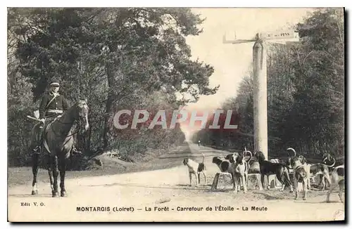 Cartes postales Montargis (Loiret) La Foret Carrefour de l'Etoile La maute Chiens Chasse