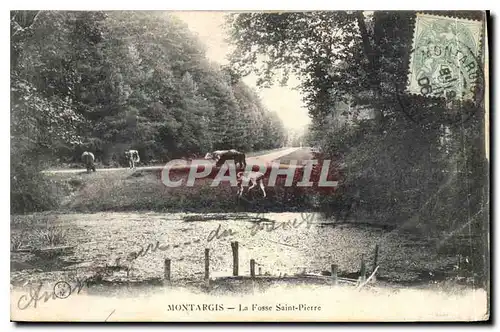 Cartes postales Montargis La Fosse Saint Pierre Vaches