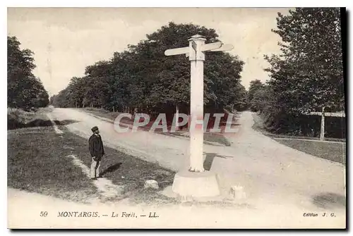 Cartes postales Montargis La For�t