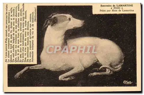 Ansichtskarte AK Souvenir de Lamartine Fido Chien