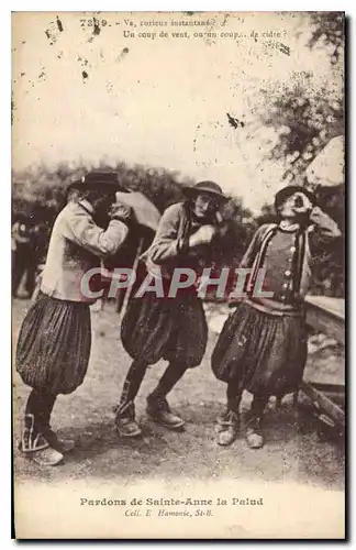 Cartes postales Pardons de Ste Anne la Palud