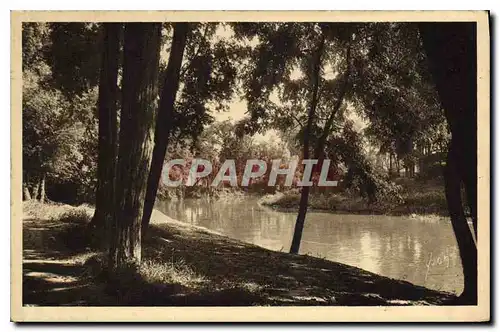 Cartes postales Toulouse Les bords de la Garonne au Parc Toulousain